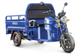 Трицикл электрический Rutrike Мастер 1500 60V 1200W (темно-зеленый)
