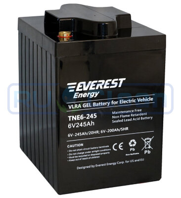 Аккумуляторная батарея Everest Energy TNE6-245 (200Ач, 6В, Gel)