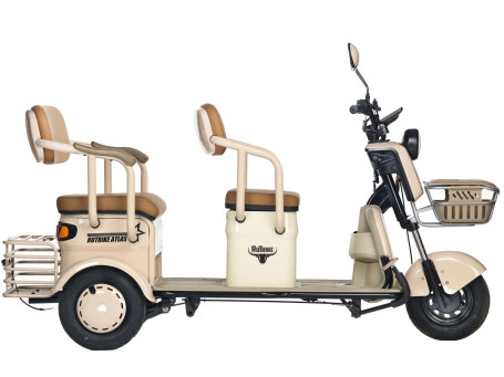Трицикл электрический Rutrike Атлас (синий) (026353-3257)