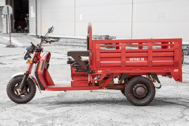 Трицикл электрический Rutrike Антей Pro 1500 60V1200W (темно-зеленый)