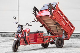 Трицикл электрический Rutrike Антей Pro 1500 60V1200W (темно-зеленый)