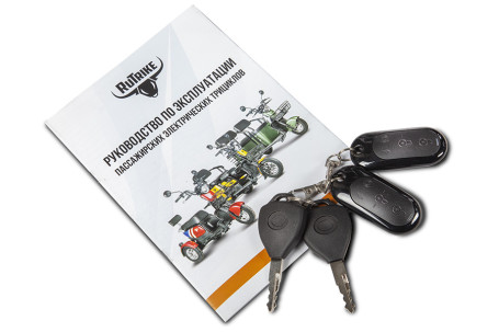 Трицикл электрический Rutrike Шкипер (красный матовый)