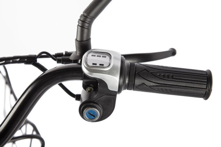 Электровелосипед GREEN CITY e-ALFA new (темно-красный матовый)