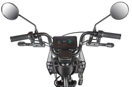 Трицикл электрический Rutrike Караван (красный)