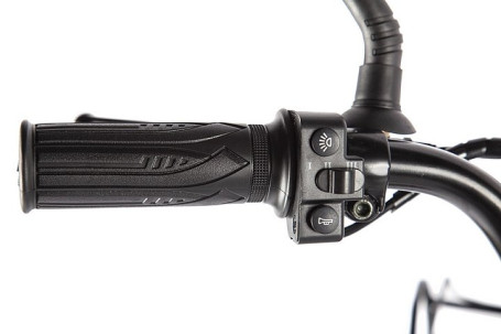 Электровелосипед GREEN CITY e-ALFA Fat (коричневый)