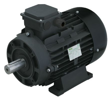 Электродвигатель RAVEL 2466A (5.5кВт, 380В, 1450об/мин, вал 28мм, H112)