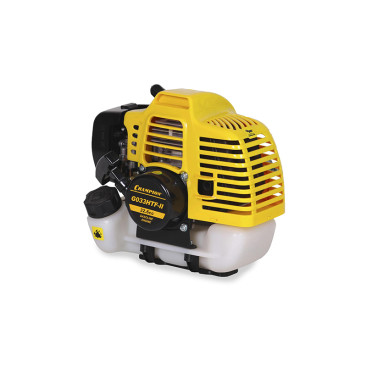 Двигатель бензиновый Champion G033HTF-II