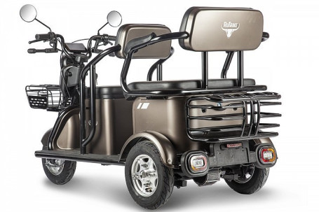 Трицикл электрический Rutrike Караван (коричневый)