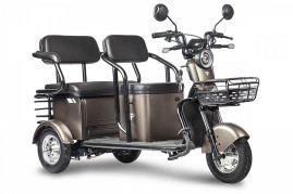 Трицикл электрический Rutrike Караван (коричневый)