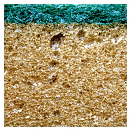 Губка TTS INTENSIVE-T. (14х9.5х3.5см, абразив, 1шт) (TCH803000.1)