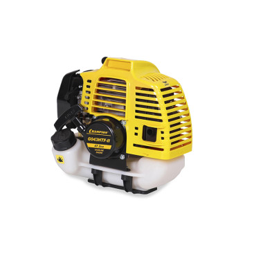 Двигатель бензиновый Champion G043HTF-II