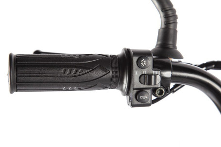 Электровелосипед GREEN CITY e-ALFA GL (черный)