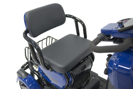 Трицикл электрический Rutrike Квадро (синий) (026356-3266)