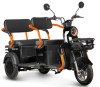 Трицикл электрический Rutrike Gelbert Beta (48/60V, 800W, черный)