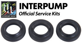 Ремкомплект сальников IPG KIT271 (E2D2013, E2B2014, E3B2515, E3B2121)