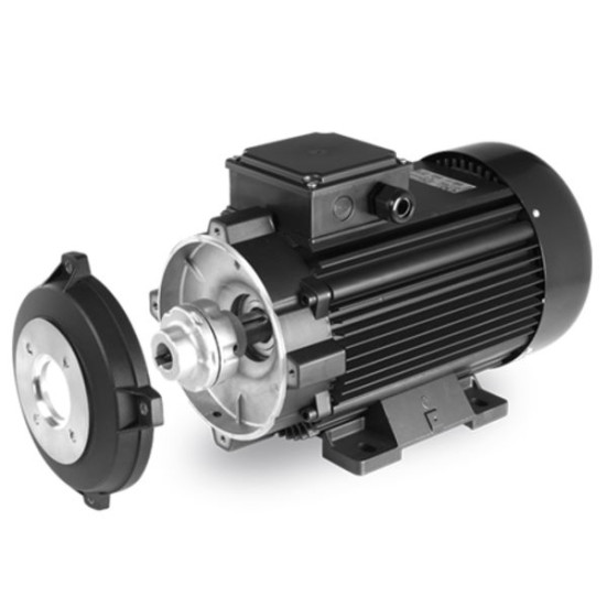 Электродвигатель EME (18.5 кВт, 380В, 1450об/мин, п.в. 24мм, Dфл 87мм, H160, DF)