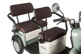 Трицикл электрический Rutrike Gelbert Beta (48/60V, 800W, серо-белый)