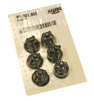 Комплект клапанов Mazzoni насоса PM (6 шт.)