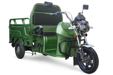 Трицикл электрический Rutrike Вояж К1 1200 60V800W (зеленый)