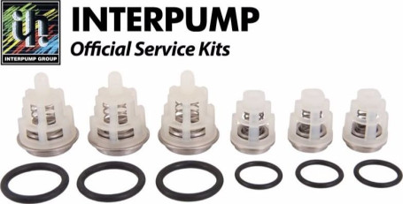 Ремкомплект клапанов IPG KIT309 (E1B1614, E1D1813)