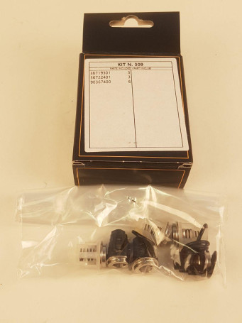 Ремкомплект клапанов IPG KIT309 (E1B1614, E1D1813)