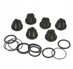 Комплект клапанов AR (для насосов серии AR ,  1409050 + 620030 + 540361, 6шт)