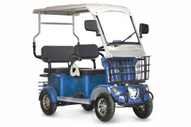 Трицикл электрический Rutrike Gelbert Hara (48/60V, 600W, синий)