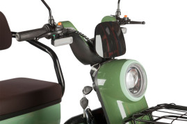 Трицикл электрический Rutrike Gelbert Kang (48/60V, 800W, зеленый)