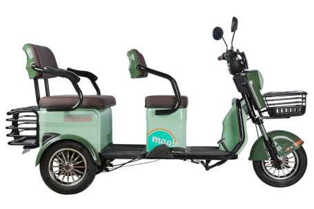 Трицикл электрический Rutrike Gelbert Kang (48/60V, 800W, зеленый) (0000266-3042)