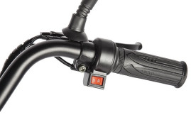Трицикл электрический Eltreco Porter Fat 500 UP! (серебристый)