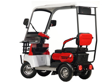 Трицикл электрический Rutrike Gelbert Lich(48/60V, 600W, синий)
