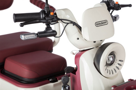 Трицикл электрический Rutrike Gelbert Mercury (48/60V, 650W, черный) (0000265-3047)
