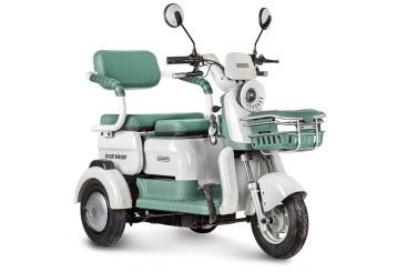 Трицикл электрический Rutrike Gelbert Mercury (48/60V, 650W, зеленый)