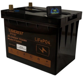 Тяговый аккумулятор Everest Energy LFP-2460 PRO (24В, 60Ач, LiFePO4)
