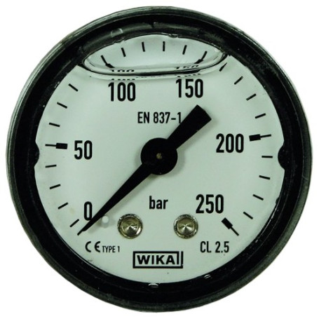 Манометр (250бар, 1/8&quot;внеш, вход сзади, пласт) R+M
