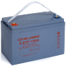 Тяговый аккумулятор Chilwee Battery 6-EVF-100A (12В, 113А/ч)
