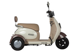 Трицикл электрический Rutrike Gelbert Ogma (48/60V, 650W, серый)
