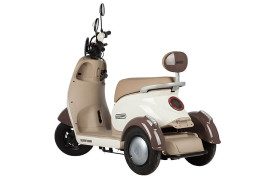 Трицикл электрический Rutrike Gelbert Ogma (48/60V, 650W, серый)