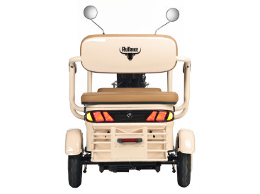 Трицикл электрический Rutrike Gelbert Atlas 48V/60V 600Вт (красный)