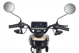 Трицикл электрический Rutrike Gelbert Atlas 48V/60V 600Вт (красный)
