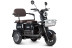 Трицикл электрический Rutrike Gelbert Sun (48/60V, 650W, черный) (0000271-3056)