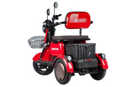 Трицикл электрический Rutrike Gelbert Sun (48/60V, 650W, зелено-белый)