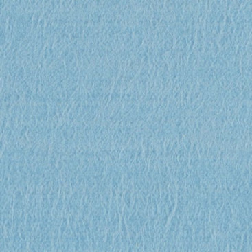 Салфетка для протирки TTS PROFI-T (38х40см, синий, 1шт)