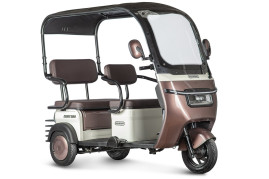 Трицикл электрический Rutrike Gelbert Sarin (48/60V, 1000W, коричнево-белый)