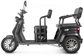 Трицикл электрический Rutrike Топик (черный)