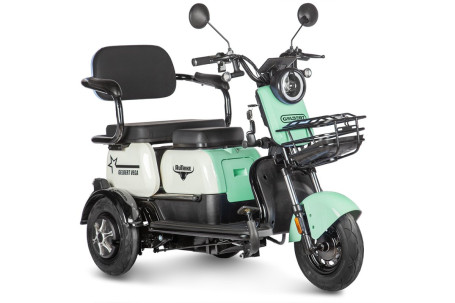 Трицикл электрический Rutrike Gelbert Vega (48/60V, 600W, зеленый) (0000136-3065)
