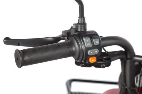 Трицикл электрический Wanshida LC-F200 60V 1000Вт (зеленый)