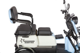Трицикл электрический Rutrike Gelbert Vega (48/60V, 600W, фиолетовый)