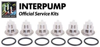 Ремкомплект клапанов IPG KIT169