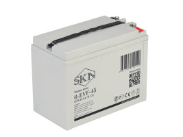 Тяговый аккумулятор SKN 6-EVF-45 (12В, 47.5Ач, AGM)